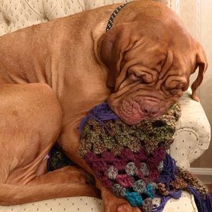 Meet your Posher, Jenna